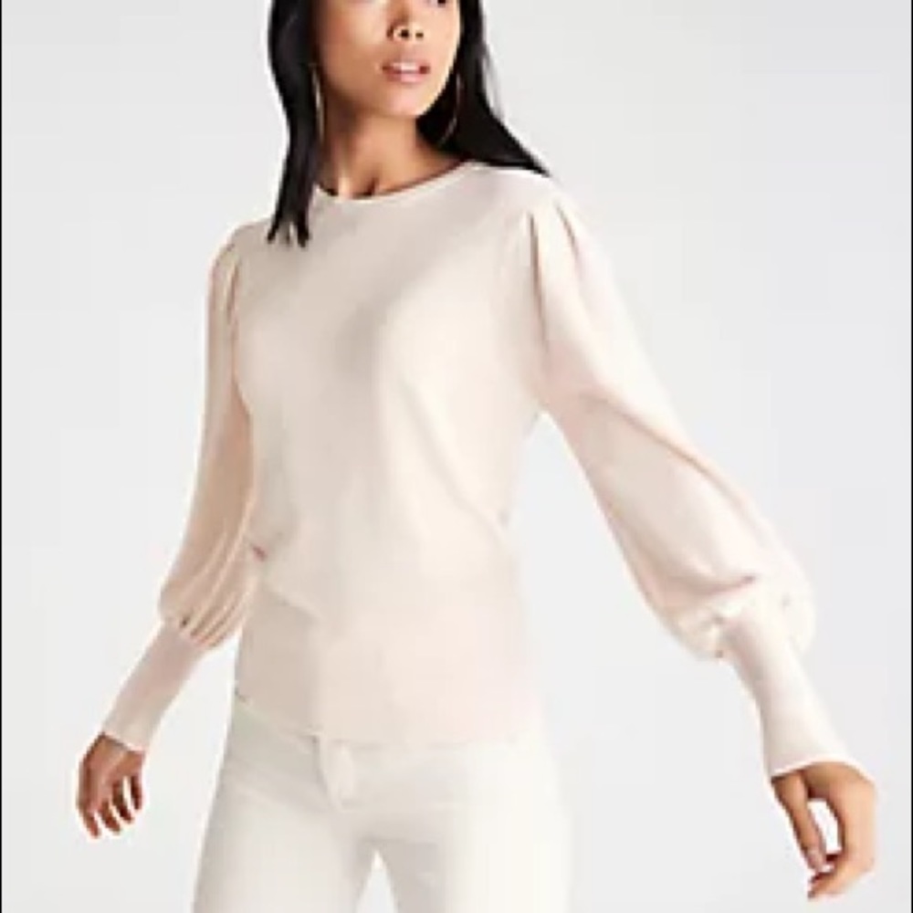 NWOT Ann Taylor Petite Balloon Sleeve Sweater